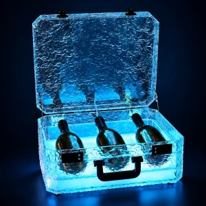 LED Three-Bottle Carry Case